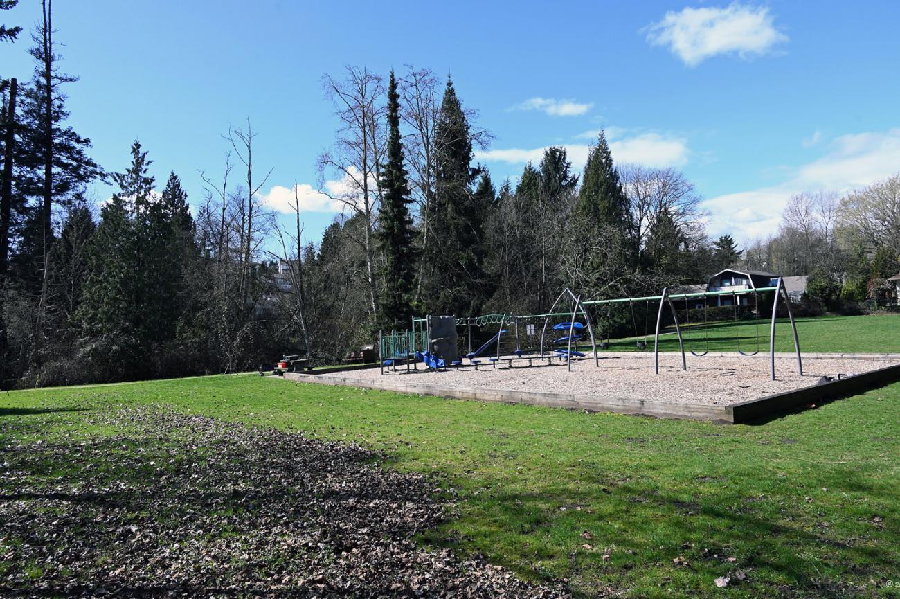 A view of the play area from the south-east corner