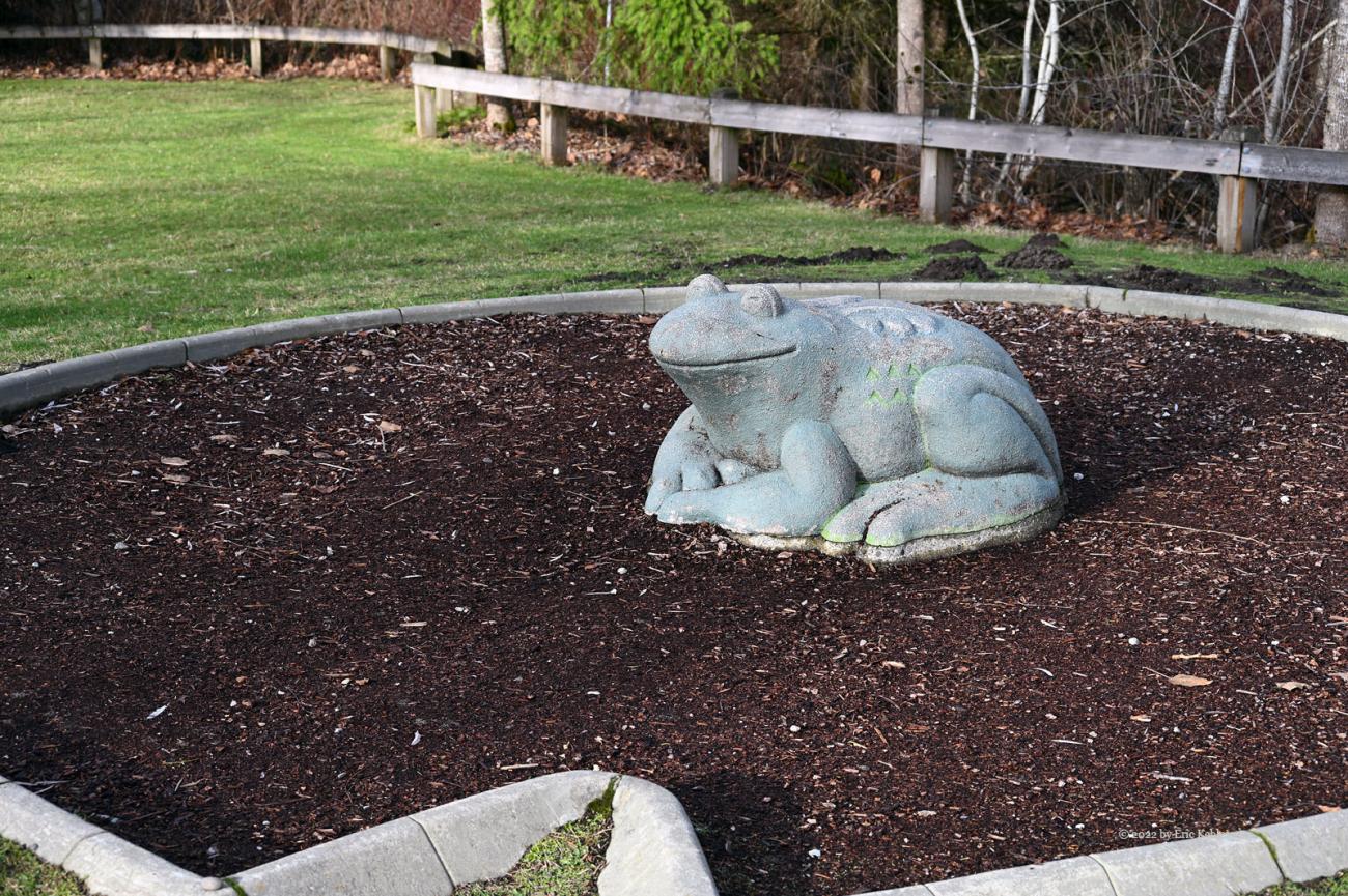 A frog sculpture for people to contemplate