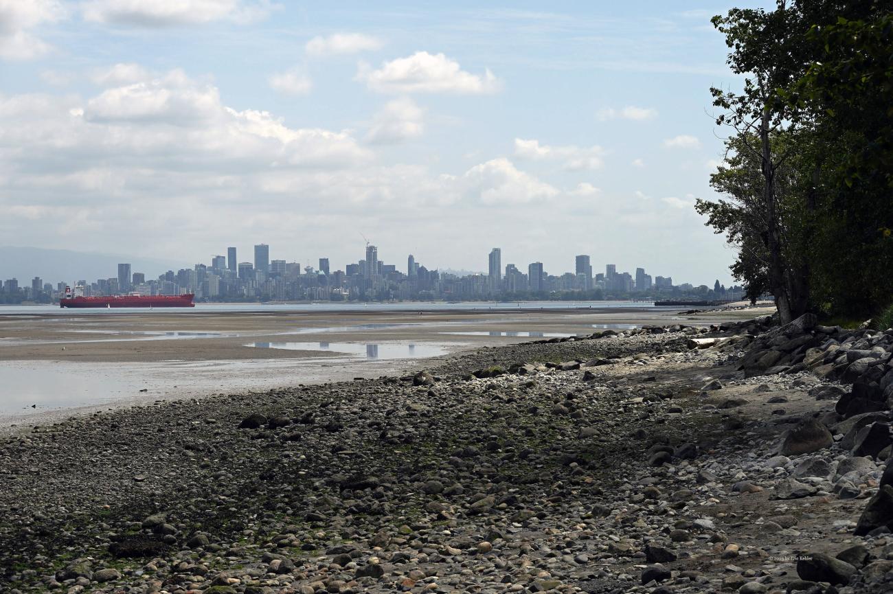 Looking at downtown Vancouver from the Dog Park