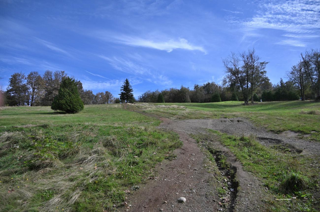 A broad field near the summit