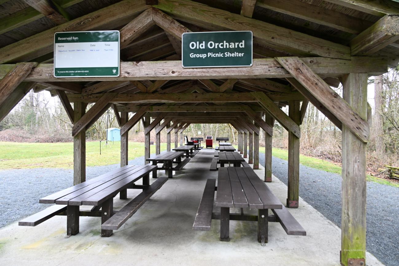 Tne covered picnic area, my station at the far end