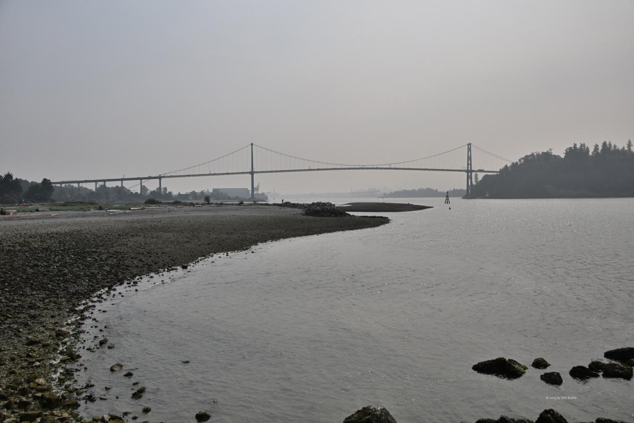 Lions Gate bridge as seen from Ambleside park