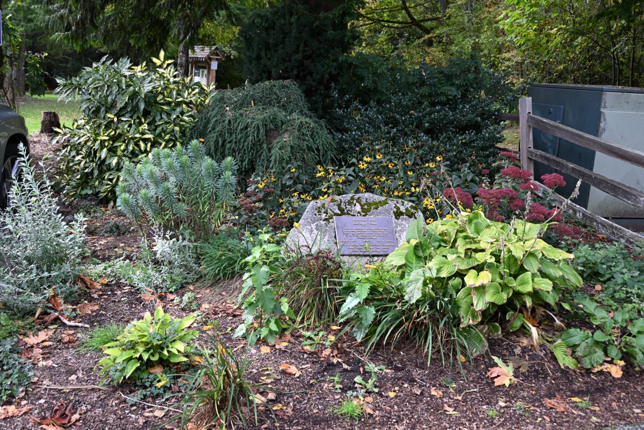 The flowers are fading with the coming of Autumn