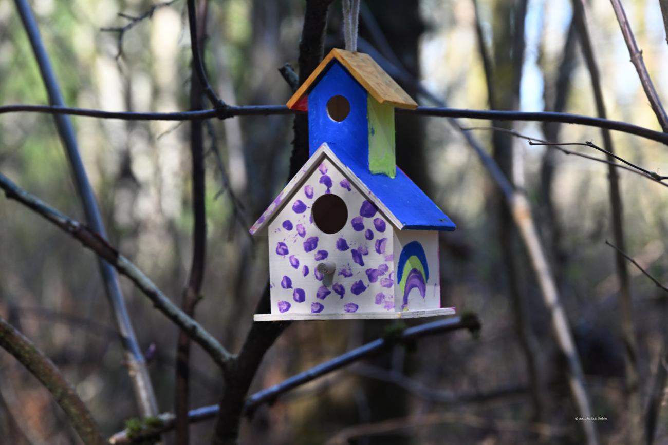 One of the fairy houses that I found this morning