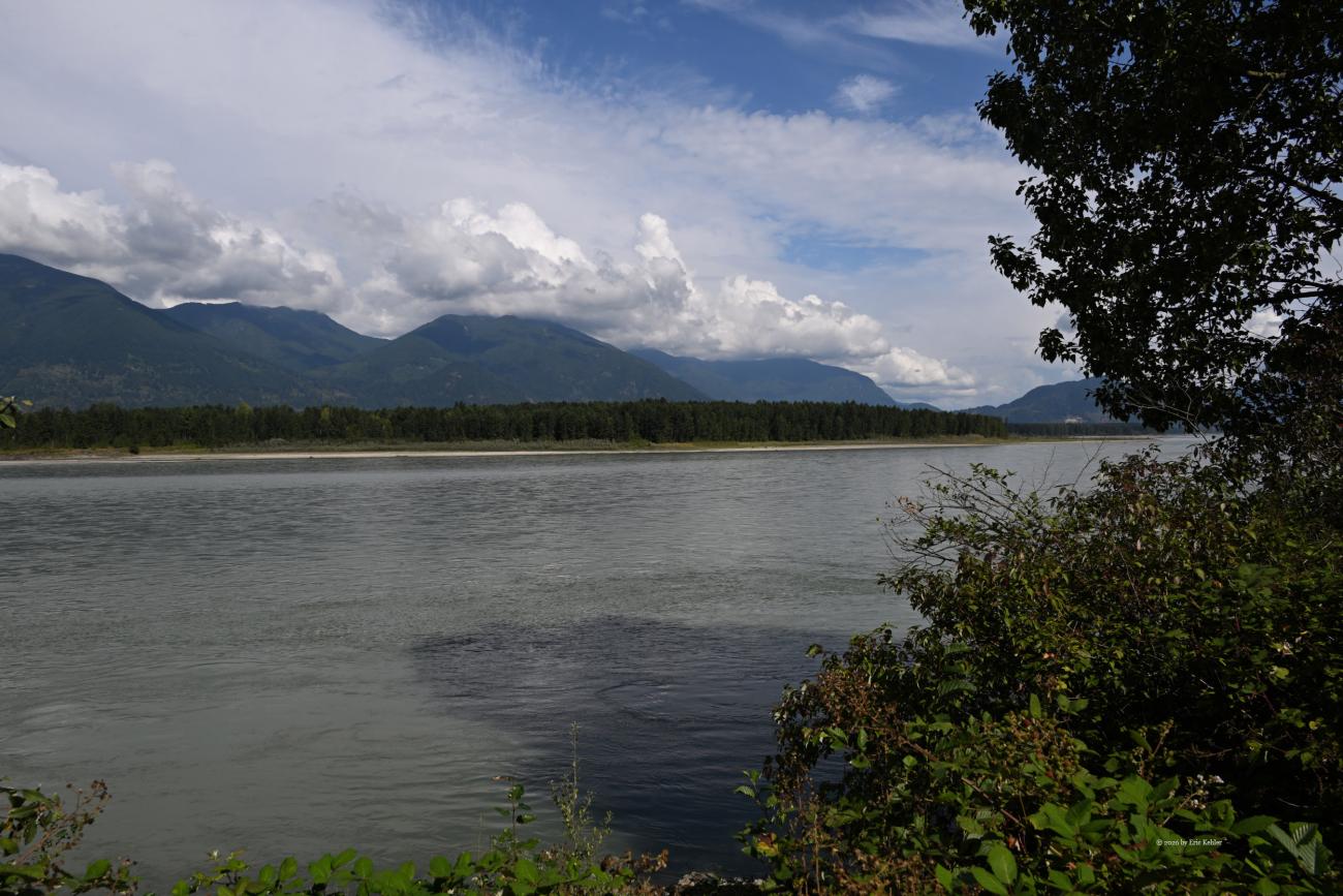 The Fraser River with Deroche Mountain as a backdrop