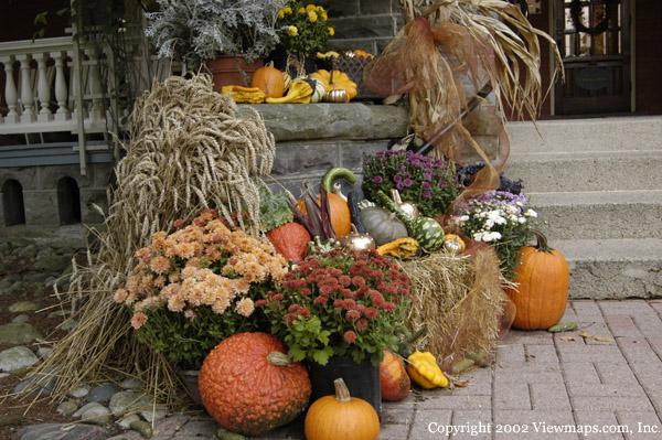  A harvest setting reminding us of the pending Thanksgiving holiday rapidly approaching.