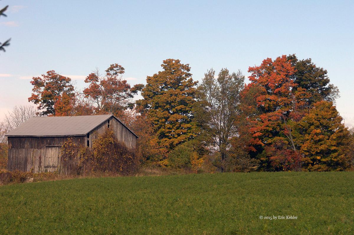 An old barn amongst the fall colours