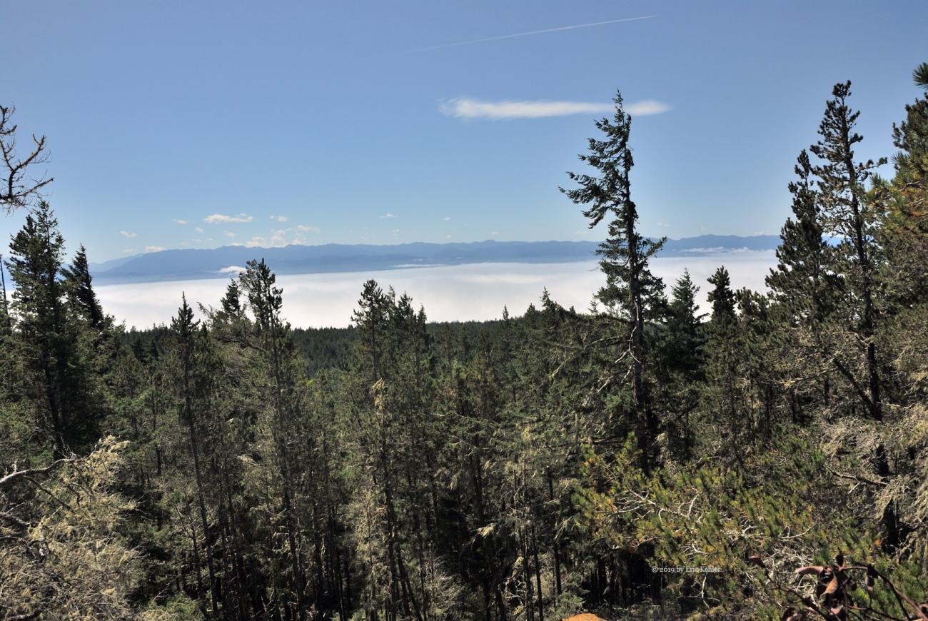 A view of Juan de Fuca from the summit of Mount Maguire