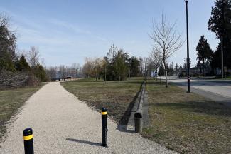 The main route to the dog park from the South-west corner