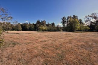A lovely day, lots of wide open space to spread out in at the park