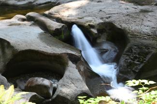 One of several small waterfalls along the creek