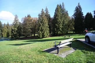 The area we were in has lots of open grass and huge shade trees