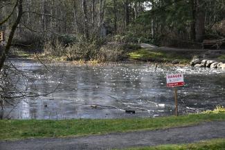 The ice was out but not very thick or strong