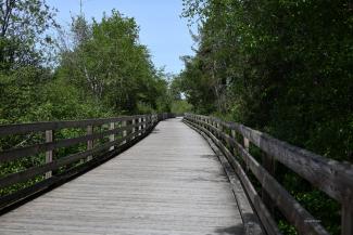 The trestle bridge over Blenkinsop Lake