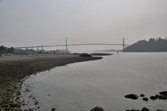 Lions Gate bridge as seen from Ambleside park