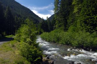 A Fast running river with lush greenery everywhere