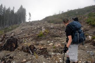 Geoff contemplating the best way to start our hike, Do we follow the slash clearing or just skip past it?