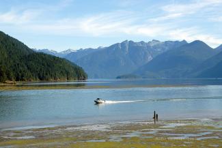 Looking north up Pitt Lake from the southern Dyke. There were a vast number of boats out on that lake.