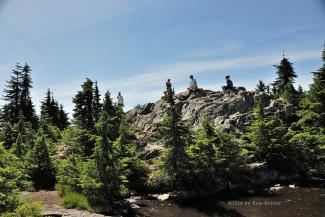 The Summit of Hollyburn