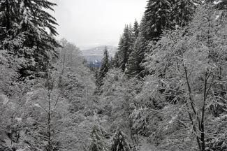 Looking down Slollicum Creek towards Harrison Lake