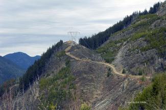 Looking north to the last towers this side of the river