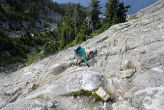 Carolyn scrambling up a steep rock face