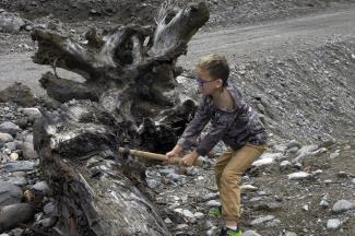 Ben chopping an old stump