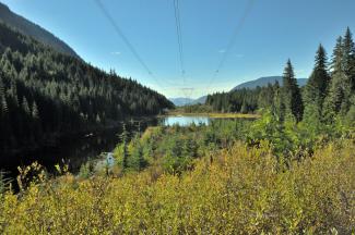 Enjoying the view of a small lake under the transmission lines
