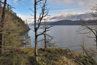 Looking north from the point at Camp Cove