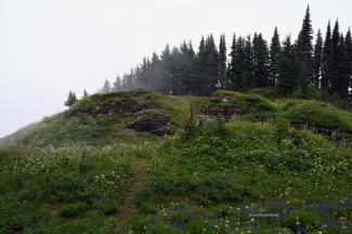 The summit area of Mount Archibald